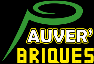 Association LEGO Auver'Briques