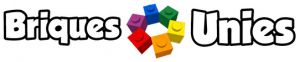 Association LEGO Briques Unies (26 - Drôme)
