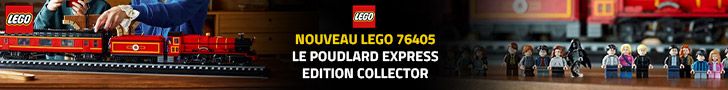 Nouveau LEGO Harry Potter 76405 : Le Poudlard Express - Edition Collector