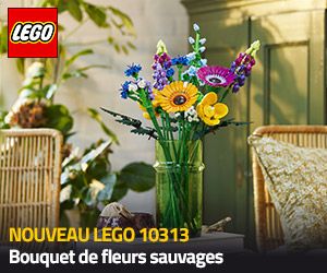 Nouveau LEGO Icons 10313 Bouquet de fleurs sauvages