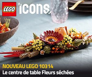 Nouveau LEGO Icons 10314 Le centre de table Fleurs séchées
