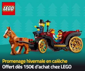 Promenade hivernale en calèche offert dès 150€ d'achat