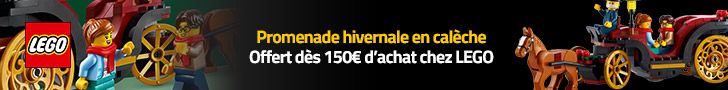 Promenade hivernale en calèche offert dès 150€ d'achat