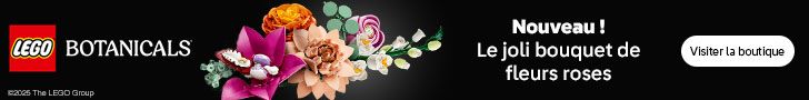 Nouveau bouquet de fleurs LEGO Icons 10342