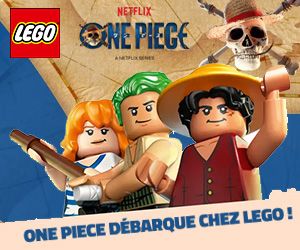 Nouveaux LEGO One Piece