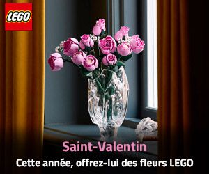 LEGO St-valentin