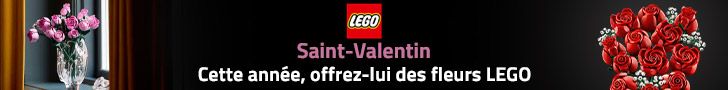LEGO St-valentin