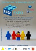 Exposition LEGO VENEUX-LES-SABLONS (77250) - BRIQU'EXPO 2017
