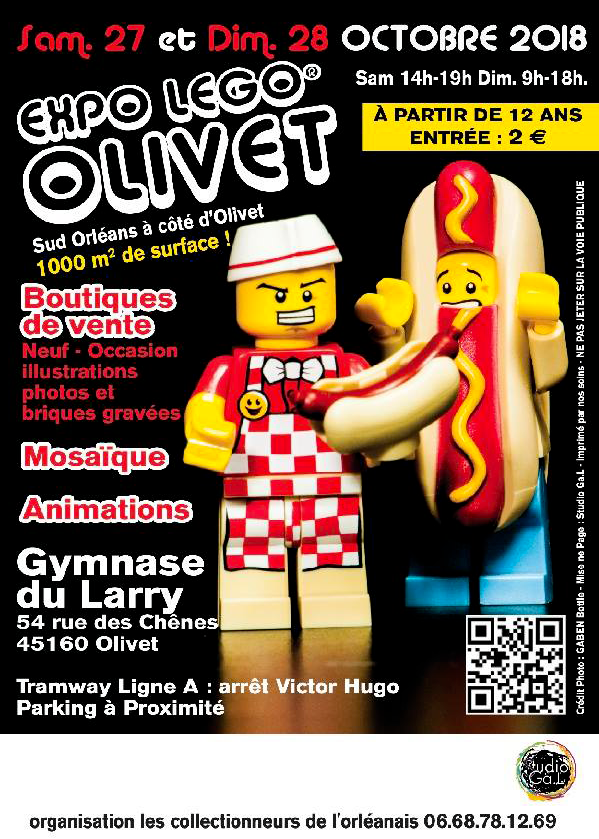 Exposition LEGO EXPO LEGO OLIVET 2018 à OLIVET (45160)