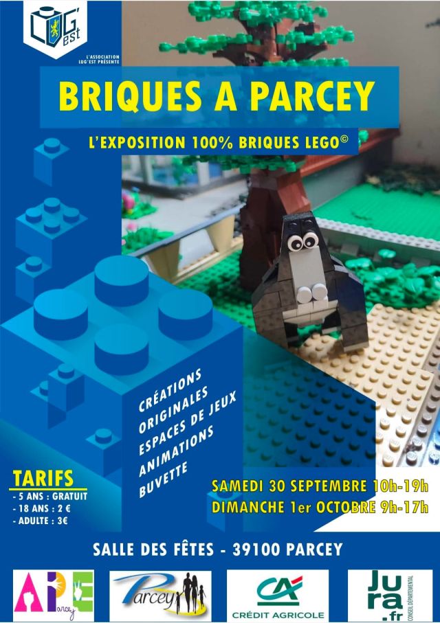Exposition LEGO Expo LEGO Briques à Parcey 2023 à Parcey (39100)