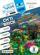 Exposition LEGO Lestrem (62136) - Expo LEGO Ch'ti Brick Lestrem 2023