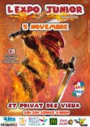 Exposition LEGO Saint-Privat-des-Vieux (30340) - Expo LEGO Junior d'Art of Bricks 2023