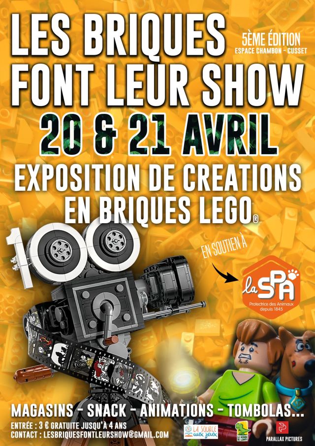 Exposition LEGO Expo LEGO Les Briques font leur Show 2024 à Cusset (03300)