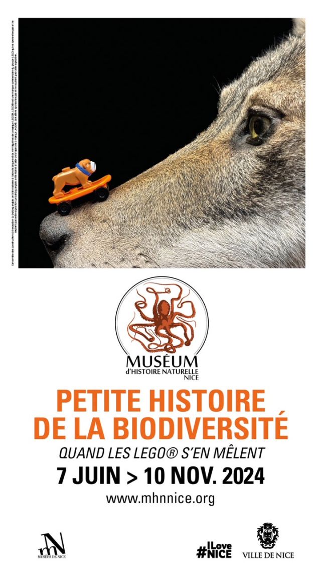 Exposition LEGO Expo Petite Histoire de la Biodiversité - Quand les LEGO s'en mêlent à Nice (06000)