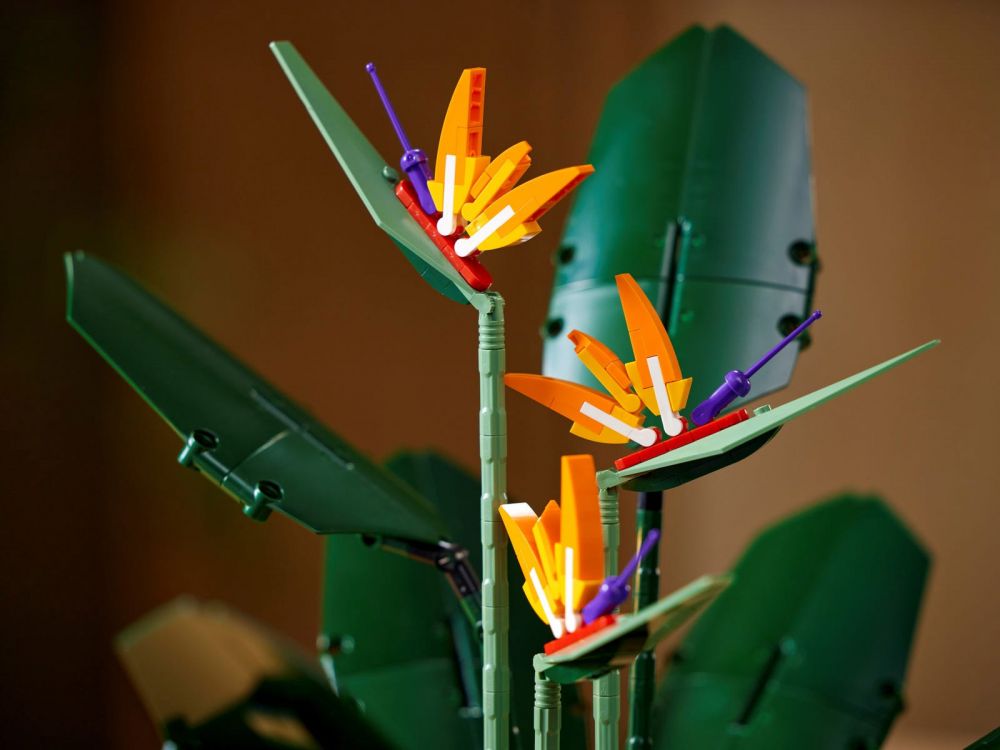 L'oiseau de paradis - LEGO® Botanical Collection 10289 - Super Briques