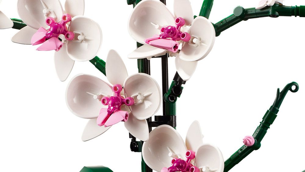 LEGO Creator 10311 pas cher, L'orchidée