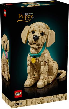 LEGO Icons 11384 Le chiot Golden Retriever