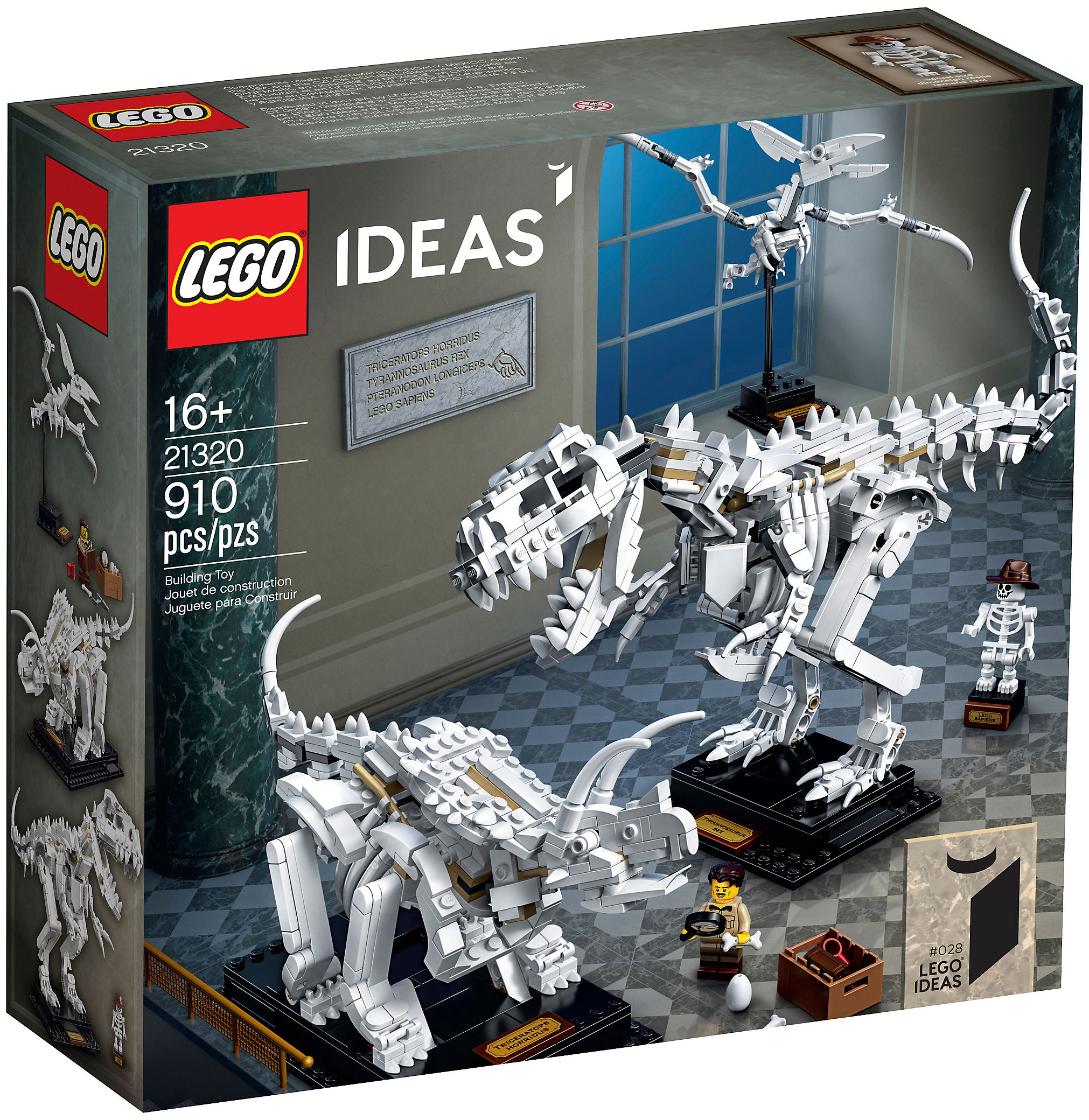 LEGO Ideas 21320 pas cher, Les fossiles de dinosaures