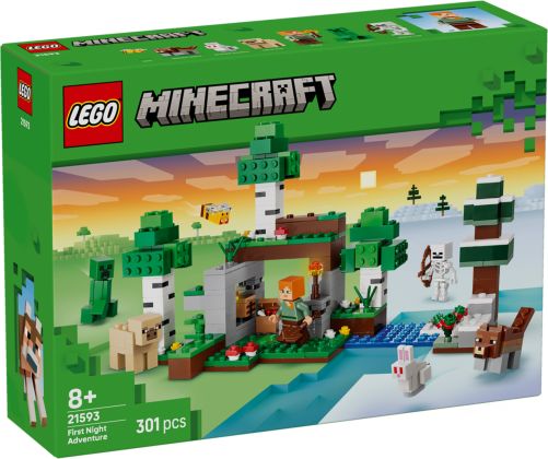 LEGO Minecraft 21593 L’aventure de la première nuit