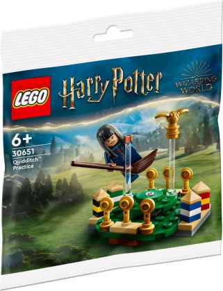 LEGO Harry Potter 30651 L'entraînement de Quidditch (Polybag)