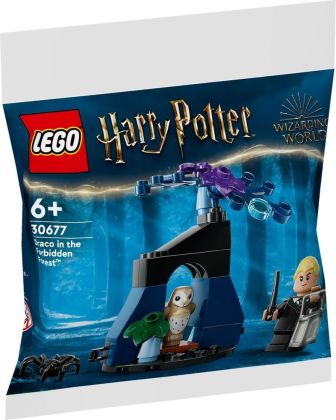 LEGO Harry Potter 30677 Drago dans la Forêt interdite (Polybag)
