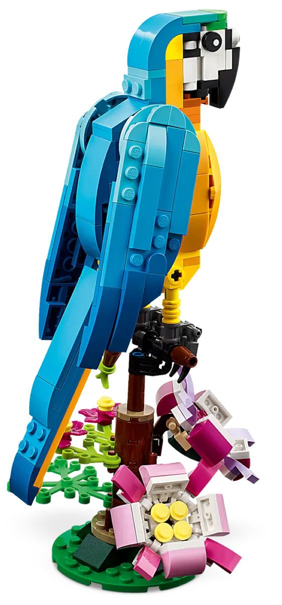 LEGO 31136 Creator 3-en-1 Le Perroquet Exotique, Jouet de