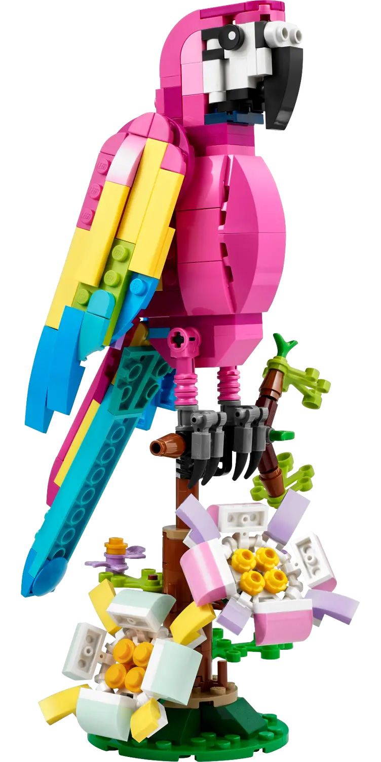 LEGO Creator 31144 pas cher, Le perroquet exotique rose