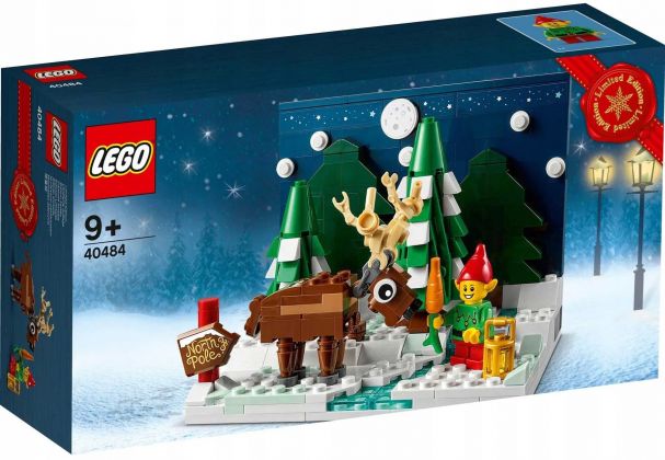 LEGO Saisonnier 40484 Le jardin du Père Noël