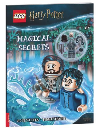 LEGO Livres 5007367 Harry Potter : Magical Secrets