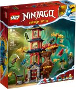 LEGO Ninjago 71781 Le Combat des Robots de Lloyd – Évolution, Jouet pour  Enfants de 6 Ans, avec Minifigurines Évolutives Guerrier Squelette et Lloyd  Doré : : Jeux et Jouets