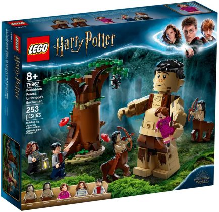 LEGO Harry Potter 75967 La Forêt interdite : la rencontre d'Ombrage