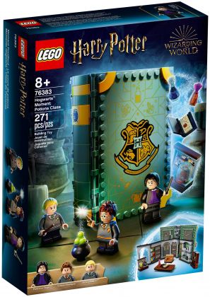 LEGO Harry Potter 76383 Poudlard : le cours de potions