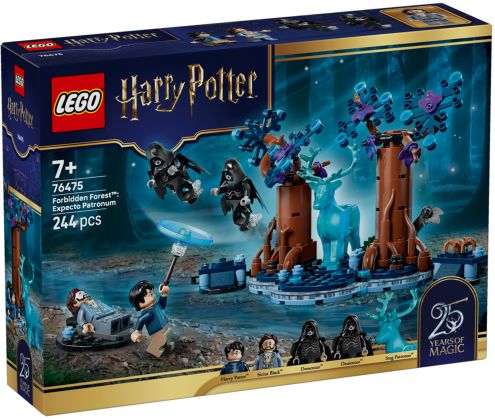 LEGO Harry Potter 76475 La Forêt interdite : Expecto Patronum