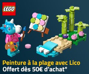 Polybag Peinture à la plage avec Lico offert dès 50€ d'achat