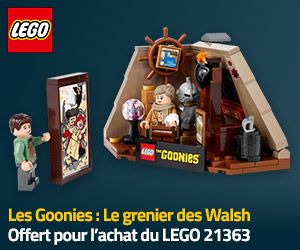 Le grenier des Walsh offert pour l’achat du set 21363