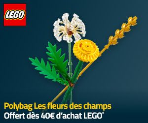 Polybag Les fleurs de champs offert dès 40€ d'achat