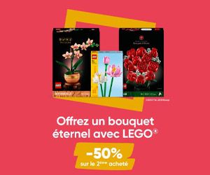 -50% sur le 2ème LEGO acheté