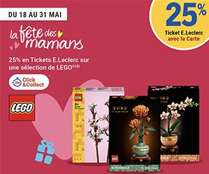 25% en Tickets E.Leclerc sur une sélection de LEGO