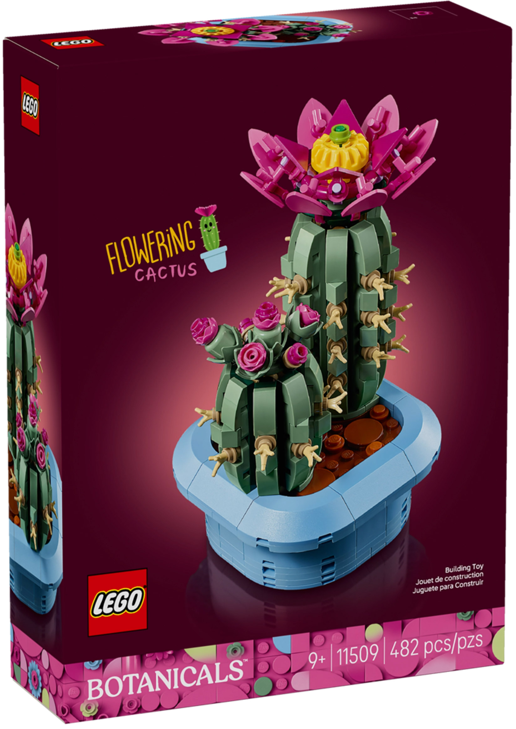 Nouveau LEGO Botanical Collection 11509 Flowering Cactus // Janvier 2026
