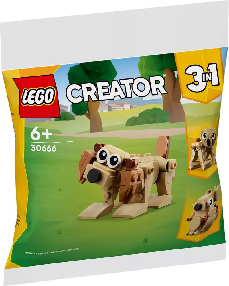 Nouveau LEGO Creator 30666 Pets (Polybag) // Janvier 2024
