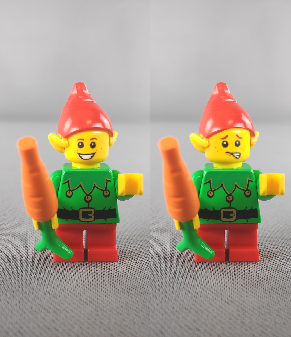 LEGO le jardin du Père Noël 40484 offert dès 170€ d'achat