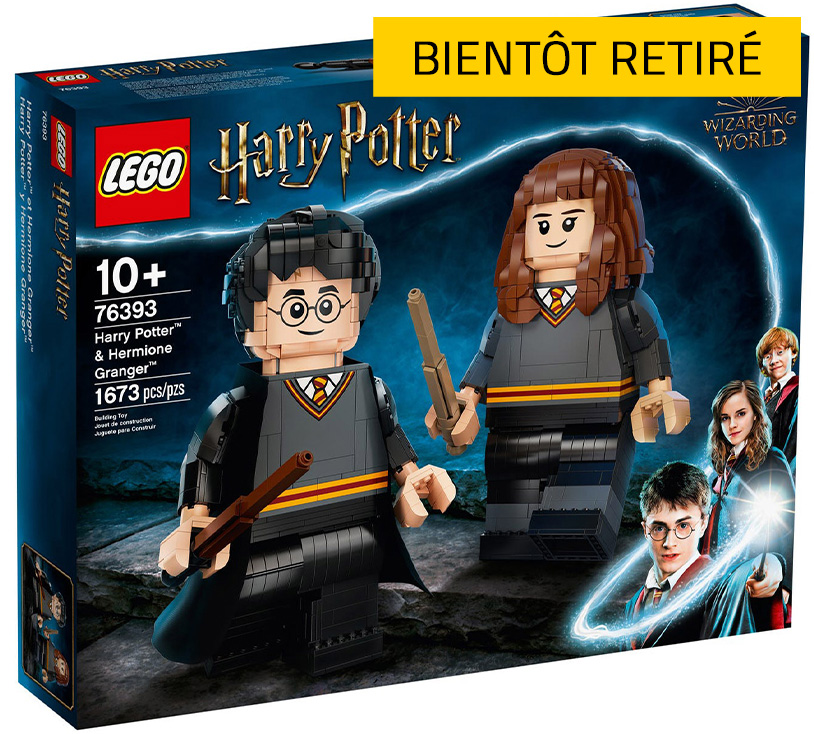 LEGO Harry Potter 76393 Harry Potter et Hermione Granger